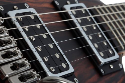 SCHECTER C-1 EXOTIC EBONY
