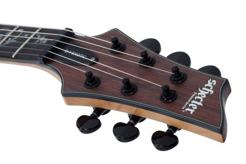 SCHECTER C-1 EXOTIC EBONY