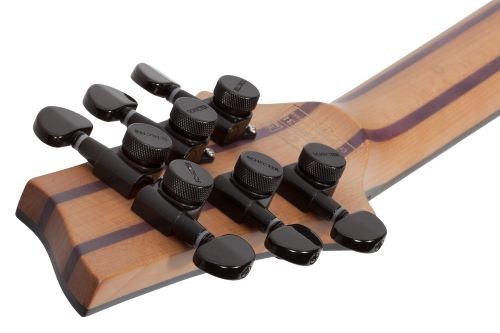 SCHECTER C-1 EXOTIC EBONY
