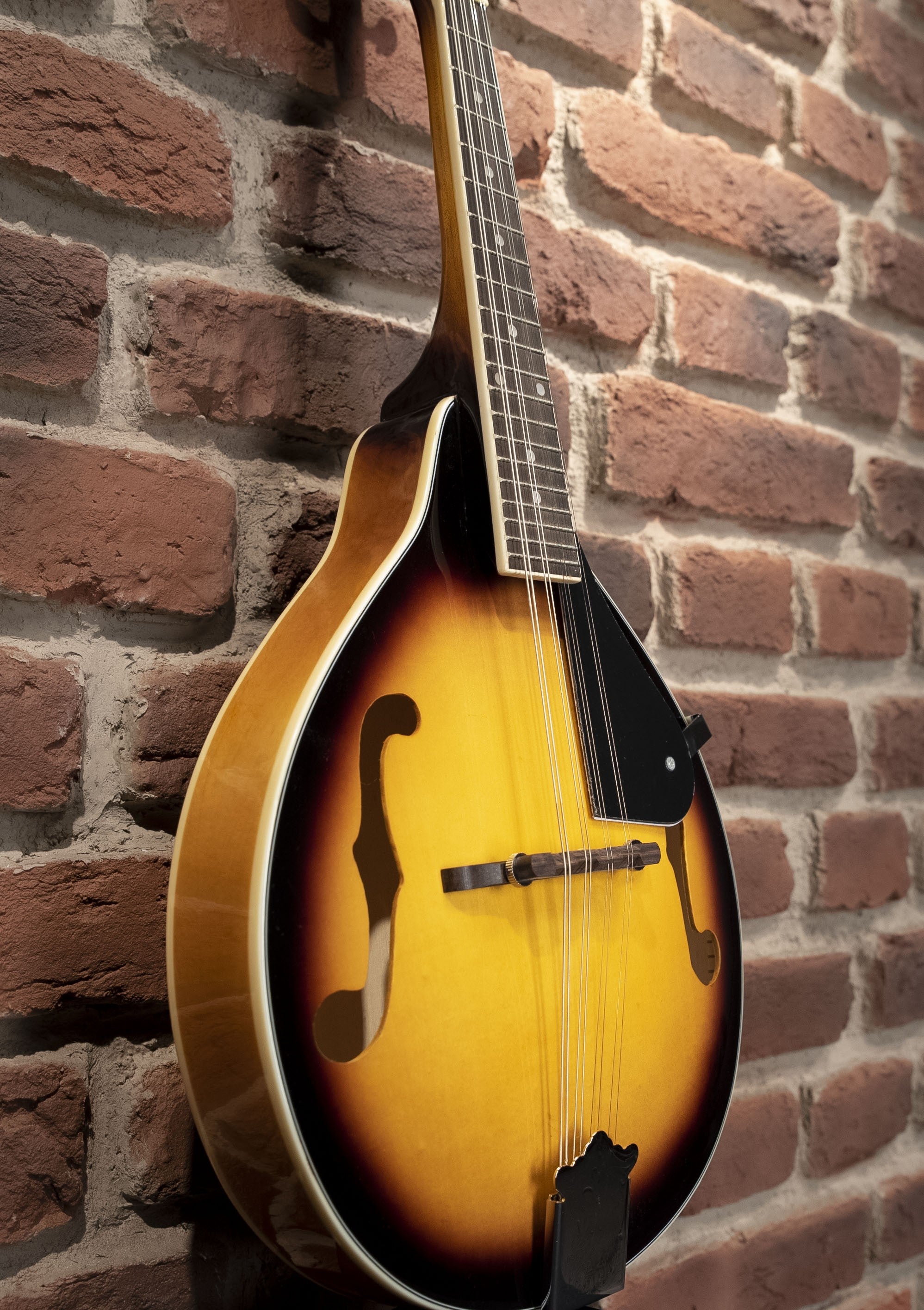 OQAN MANDOLINA QMAN-10 SB SUNBURST