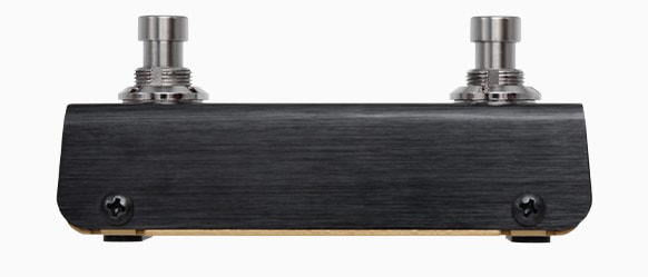 Hotone FS-1