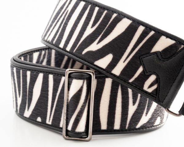 RIGHTON ZEBRA