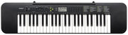 CASIO CTK-240
