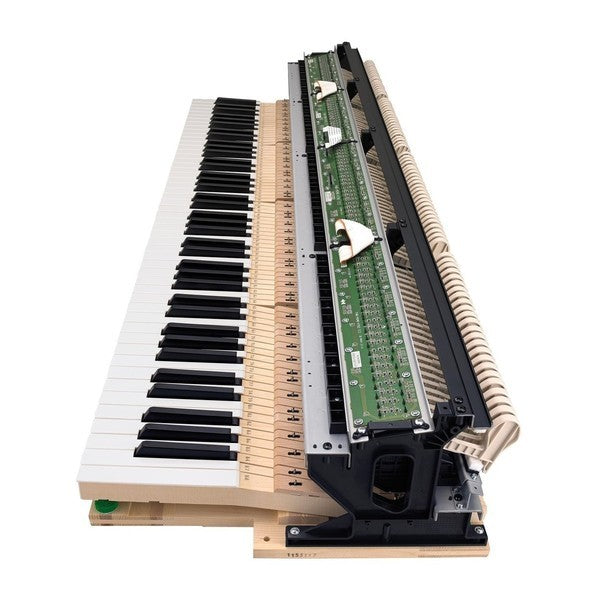 CASIO CELVIANO GRAND HYBRID GP-310BK