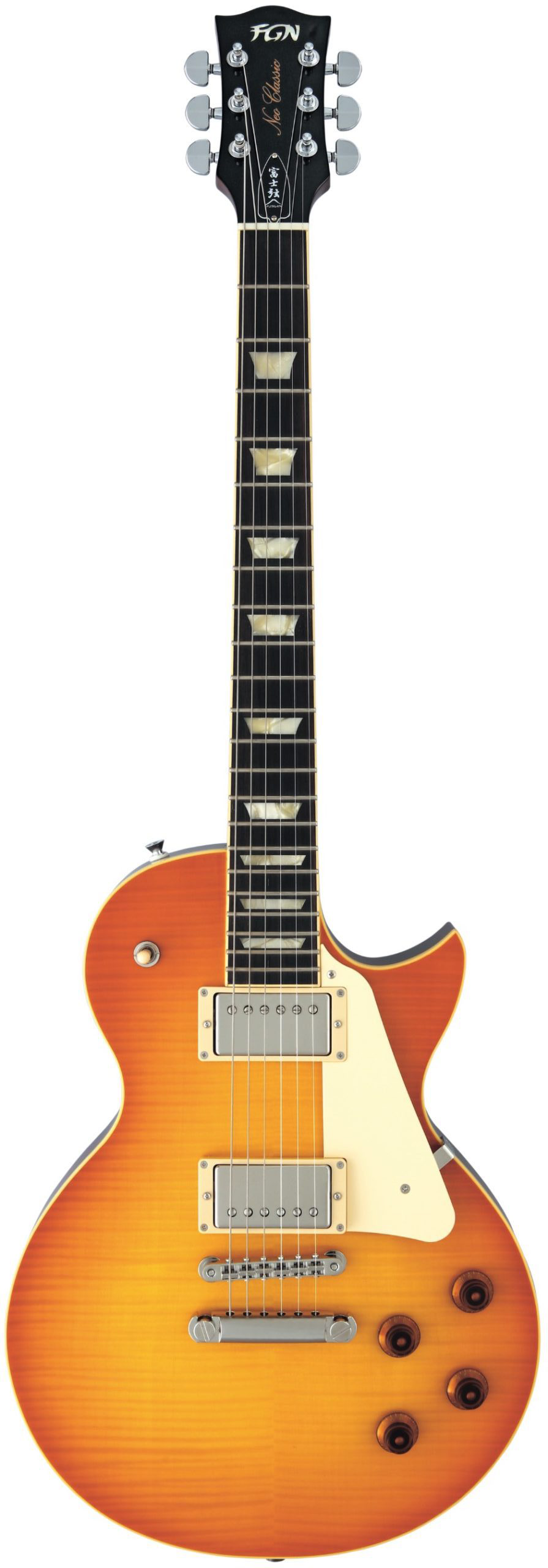 FUJIGEN NLS20GFM-LDQ 