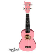 ASHTON UKE170PK
