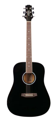 ASHTON D20 BK