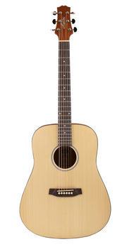 ASHTON D20SW-NTM
