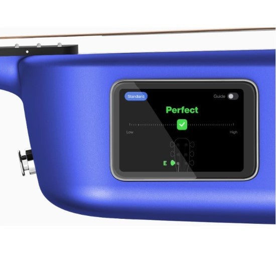 LAVA MUSIC BLUE LAVA AIRFLOW BAG GREEN