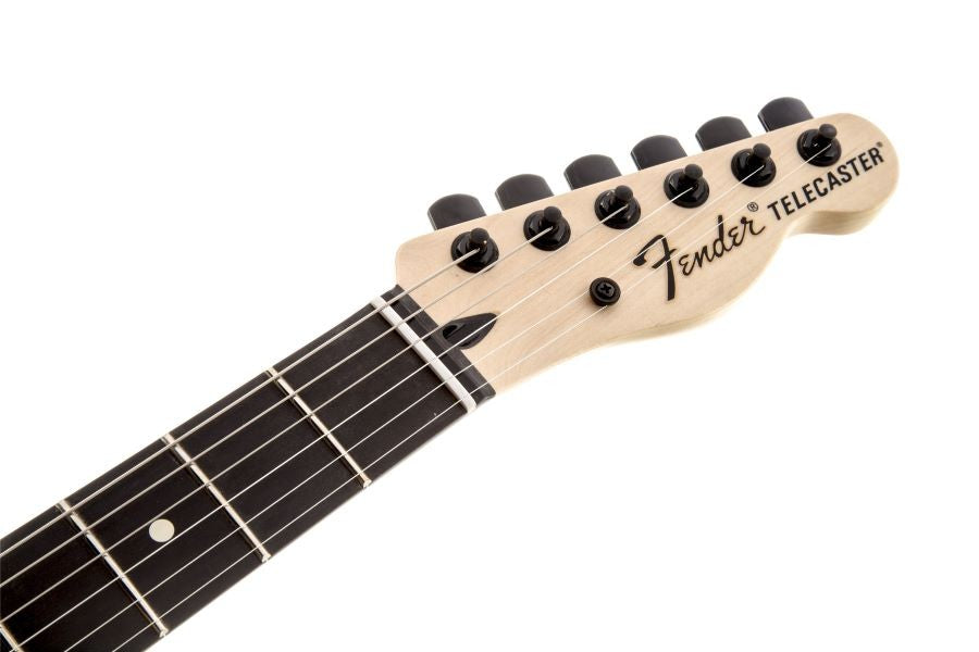 FENDER JIM ROOT TELECASTER