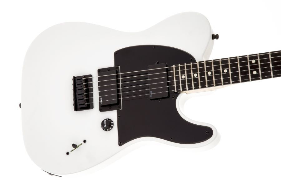 FENDER JIM ROOT TELECASTER