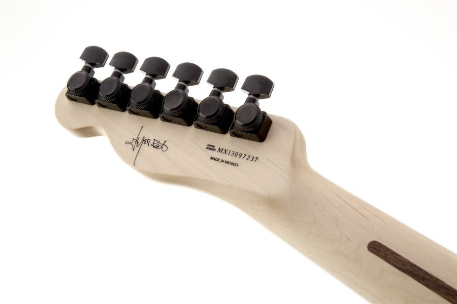 FENDER JIM ROOT TELECASTER