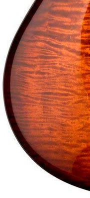 PRS  DGT BLACK GOLD BURST