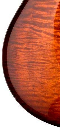 PRS  DGT BLACK GOLD BURST