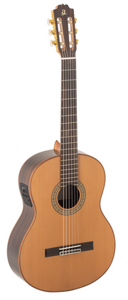 ADMIRA A10 ELECTRIFICADA CON FISHMAN SERIE ARTESAN