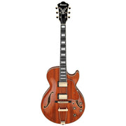 IBANEZ AG95K-NT