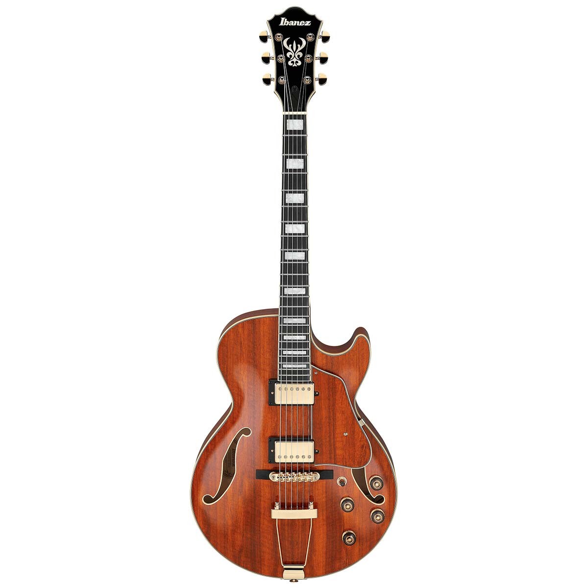 IBANEZ AG95K-NT