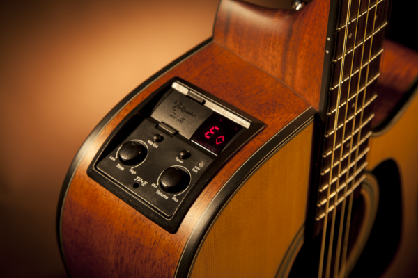 Takamine GD10CE-NS
