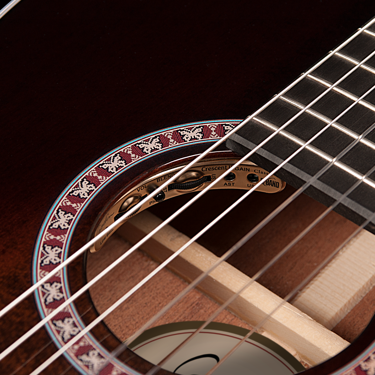 GODIN Arena Pro CW Bourbon Burst EQ