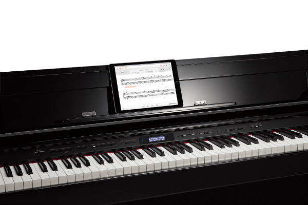 Roland DP603-PE