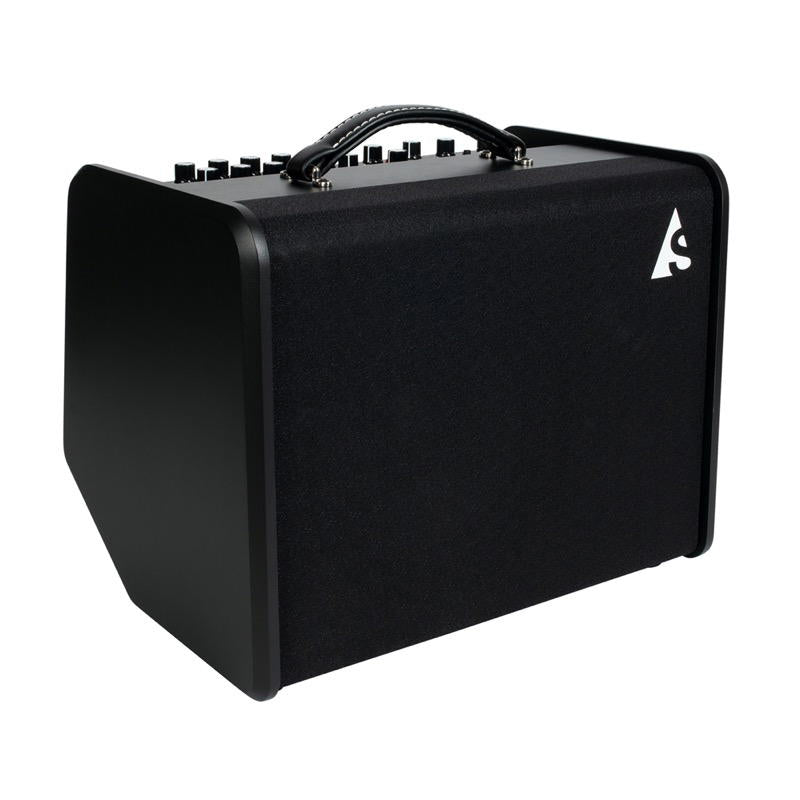Godin Acoustic Solutions ASG-8 120 Black Amplificador para guitarra