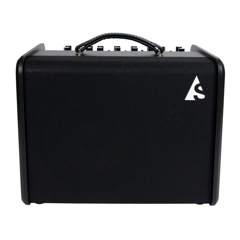 Godin Acoustic Solutions ASG-8 120 Black Amplificador para guitarra
