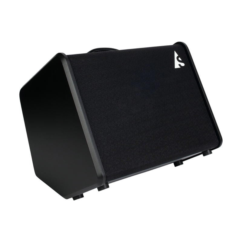 Godin Acoustic Solutions ASG-8 120 Black Amplificador para guitarra