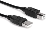 HOSA USB 2.0 CABLE A- MALE TO B-MALE 10FT
