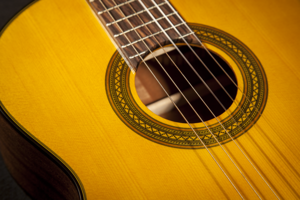 Takamine GC1CE-NAT