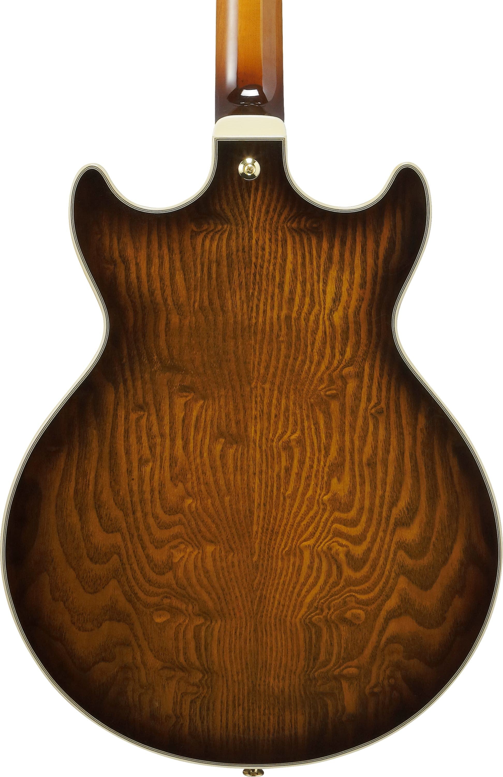IBANEZ AM93QA VVH