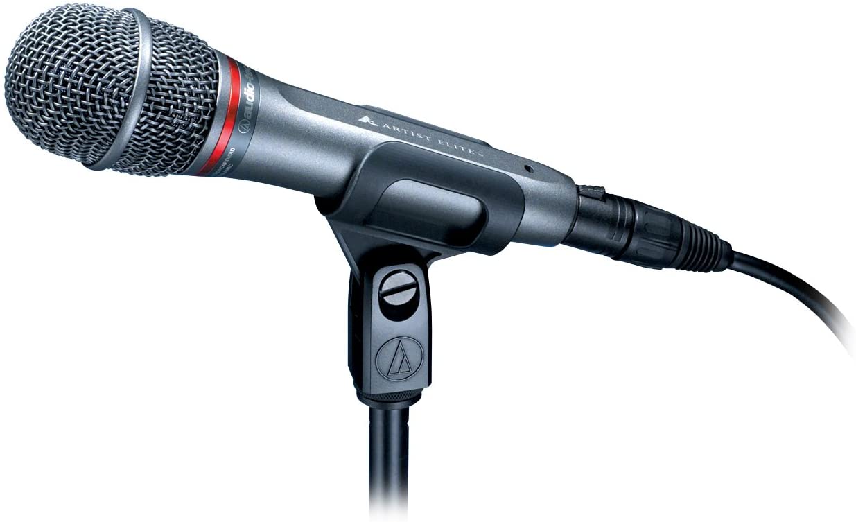 Audio-Technica AE6100