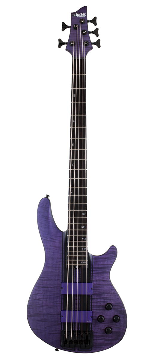 SCHECTER C-5 GT