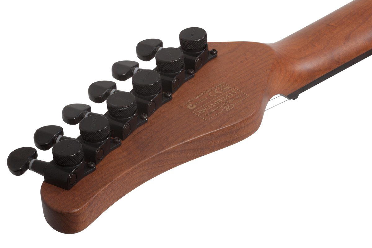 SCHECTER TRAD PRO-EBONY TPB