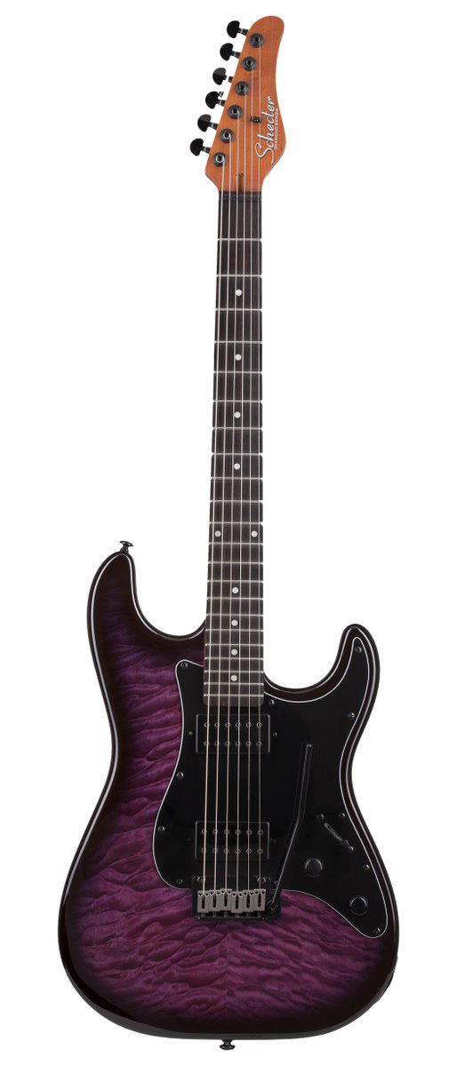 SCHECTER TRAD PRO-EBONY TPB