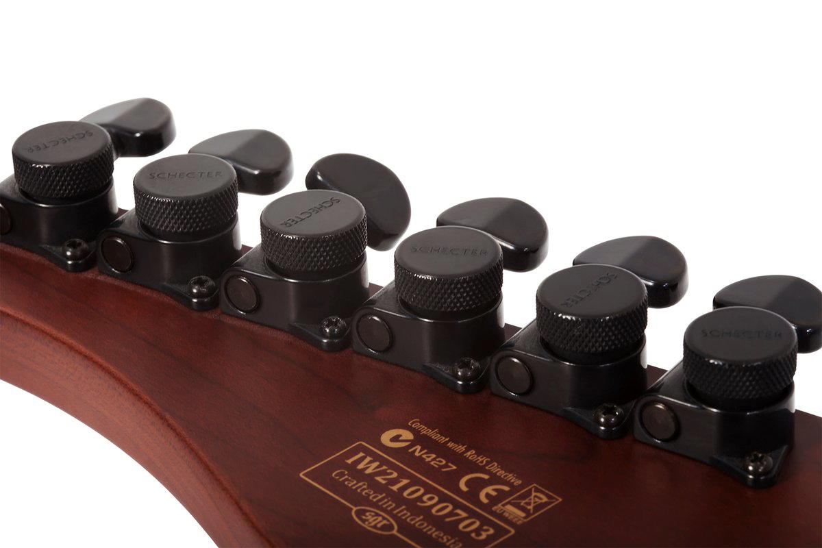 SCHECTER TRAD PRO-MAPLE TBLB