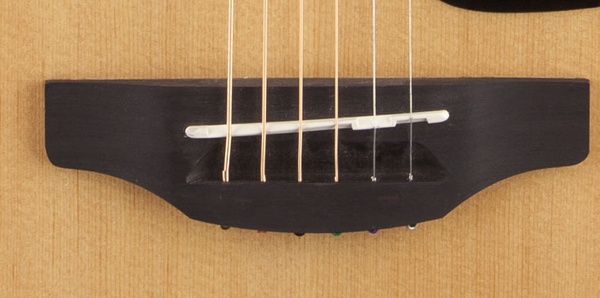 Takamine GD10-NS