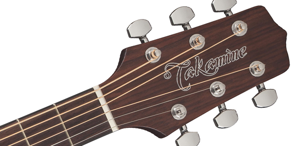 Takamine GD10CE-NS