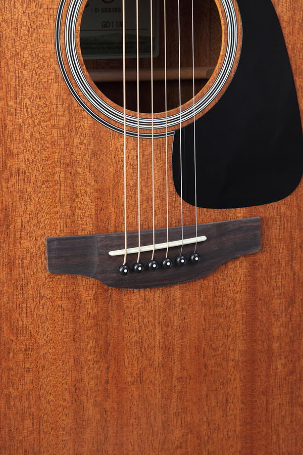Takamine GD11MCE-NS