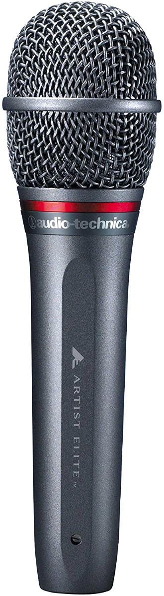Audio-Technica AE6100