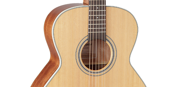 Takamine GN20-NS 