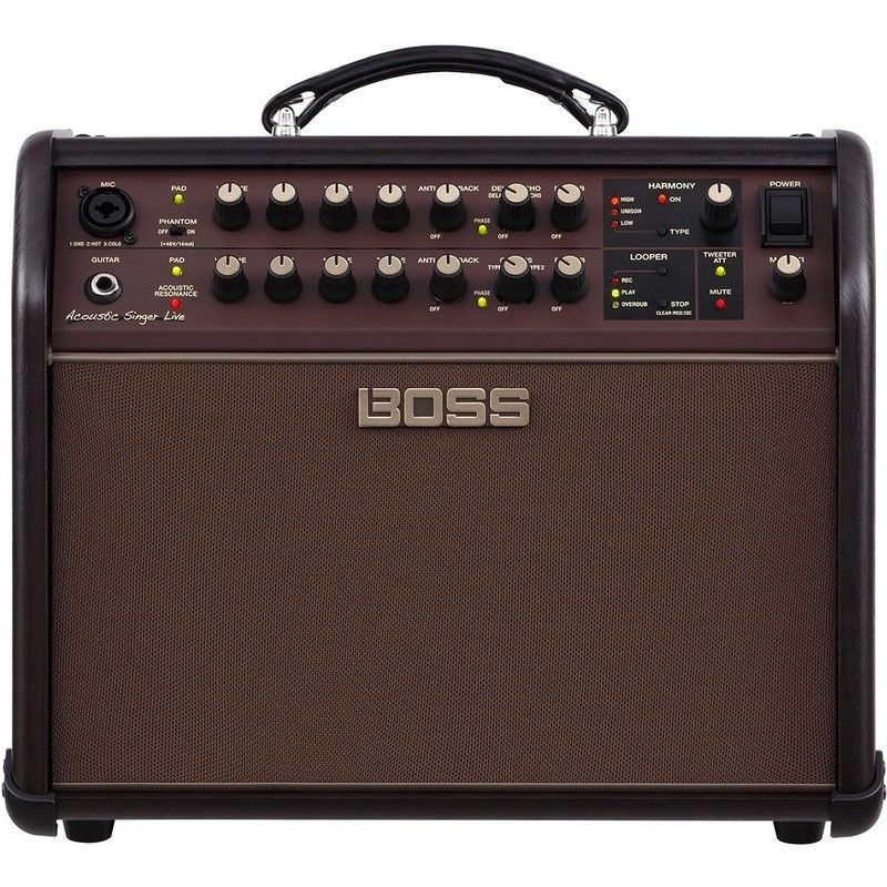 BOSS ACOUSTIC SINGER LIVE