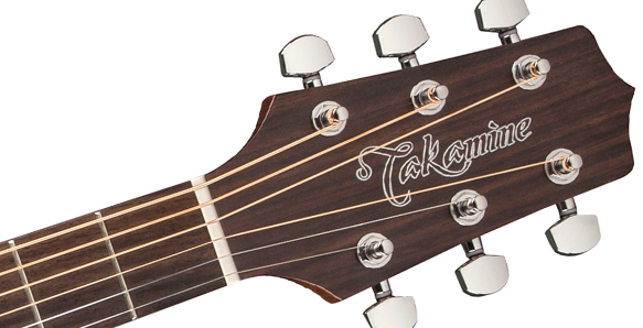 Takamine GD20-NS