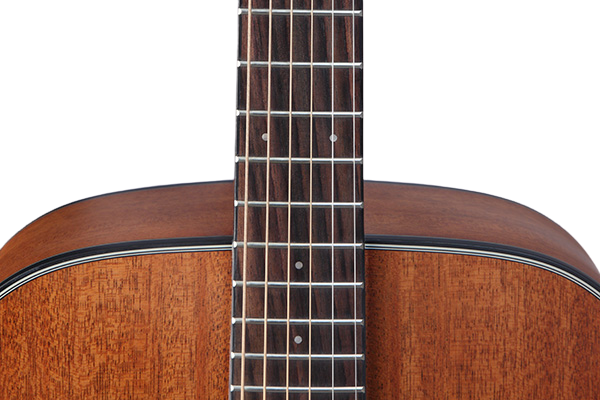 Takamine GD11M-NS