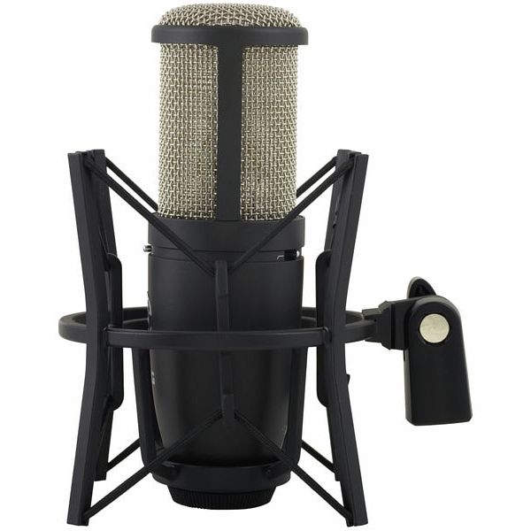 Akg P 420