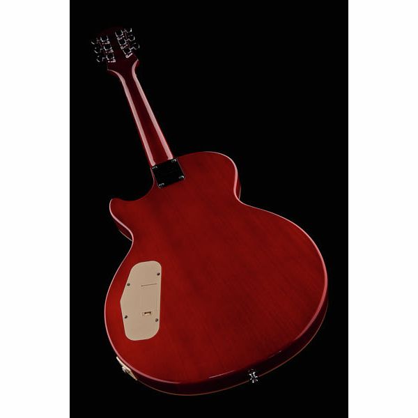 EPIPHONE SLASH APPETITE LP SPECIAL-II PERFORMANCE