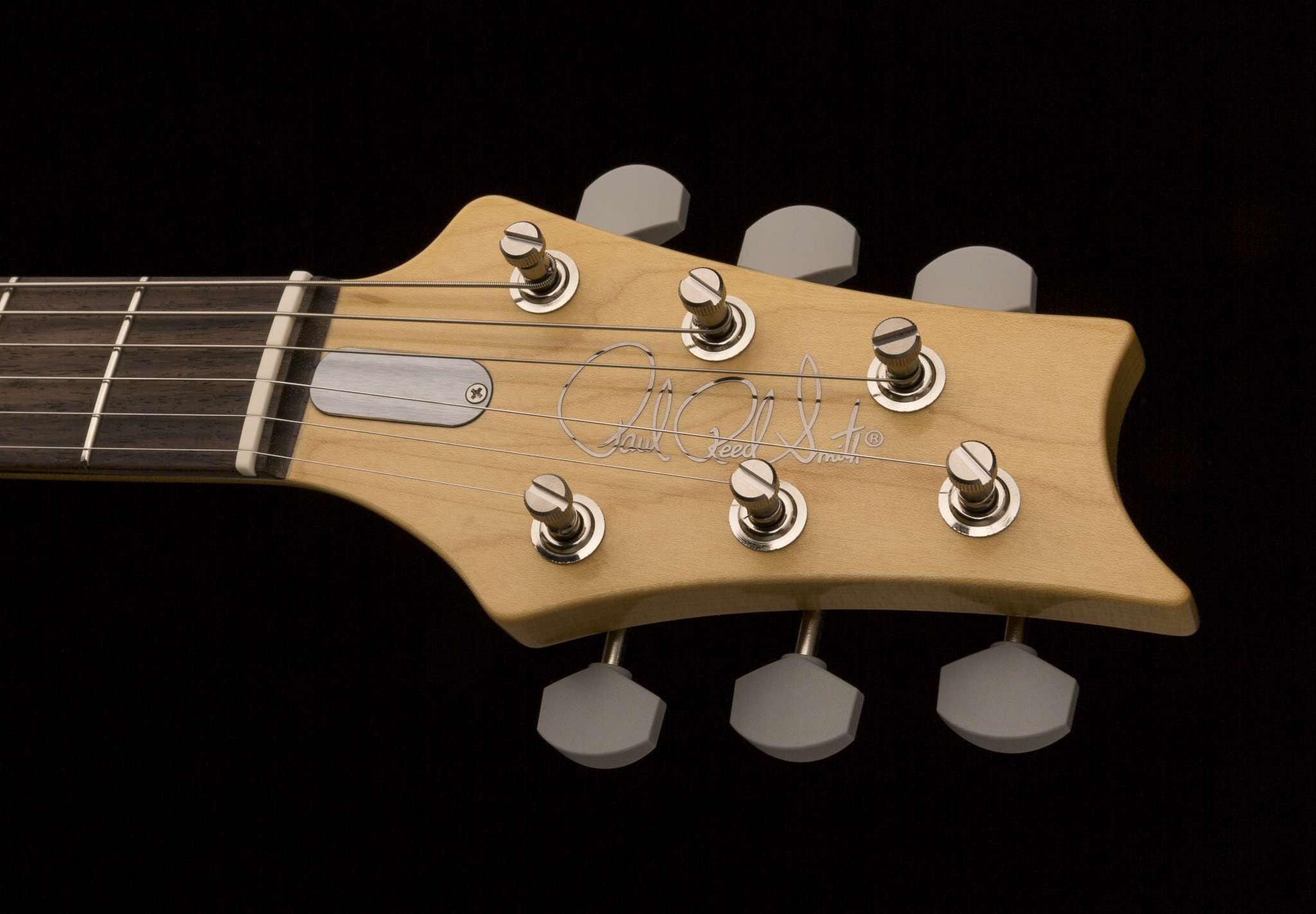 PRS SILVER SKY JM FROST RW