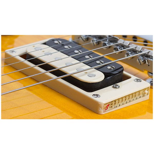 EPIPHONE SLASH APPETITE LP SPECIAL-II PERFORMANCE