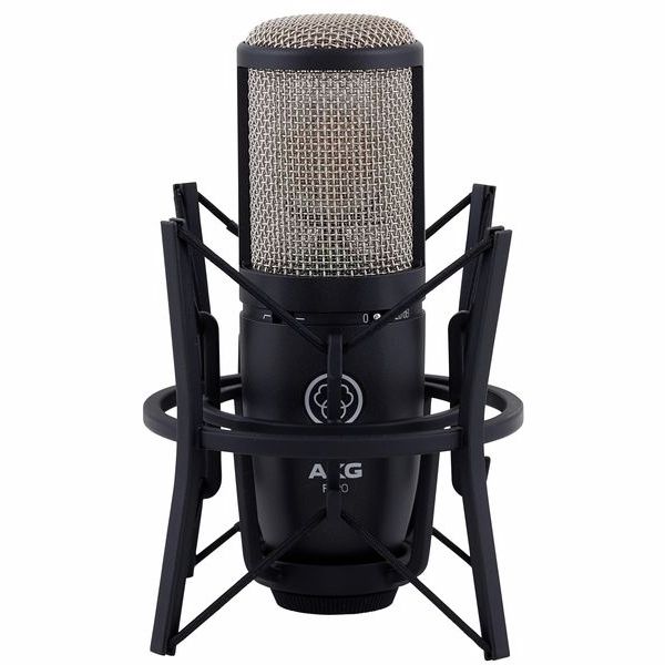 Akg P 220