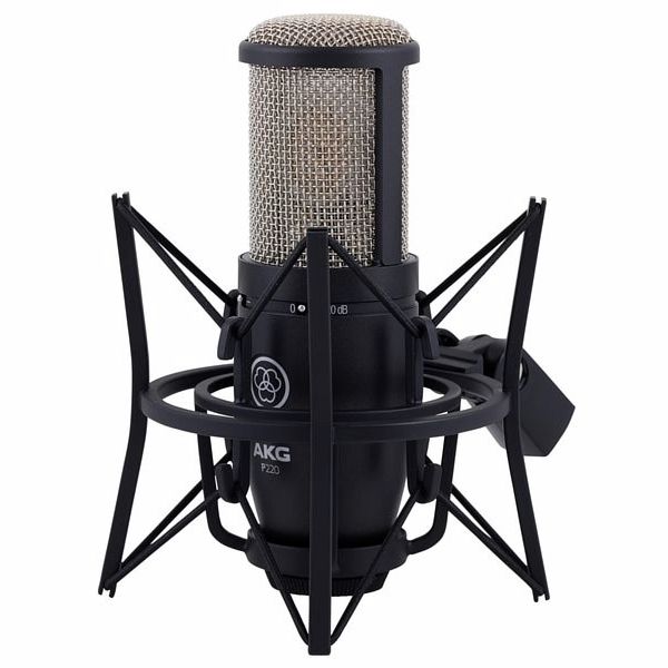 Akg P 220