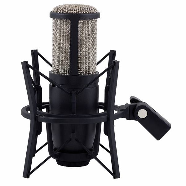 Akg P 220